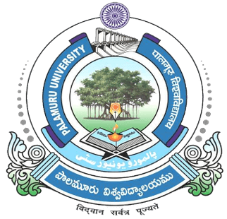 Palamuru University