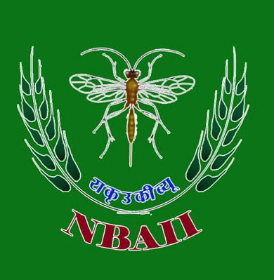 National Bureau of Agricultural Insect Resources ( NBAIR )