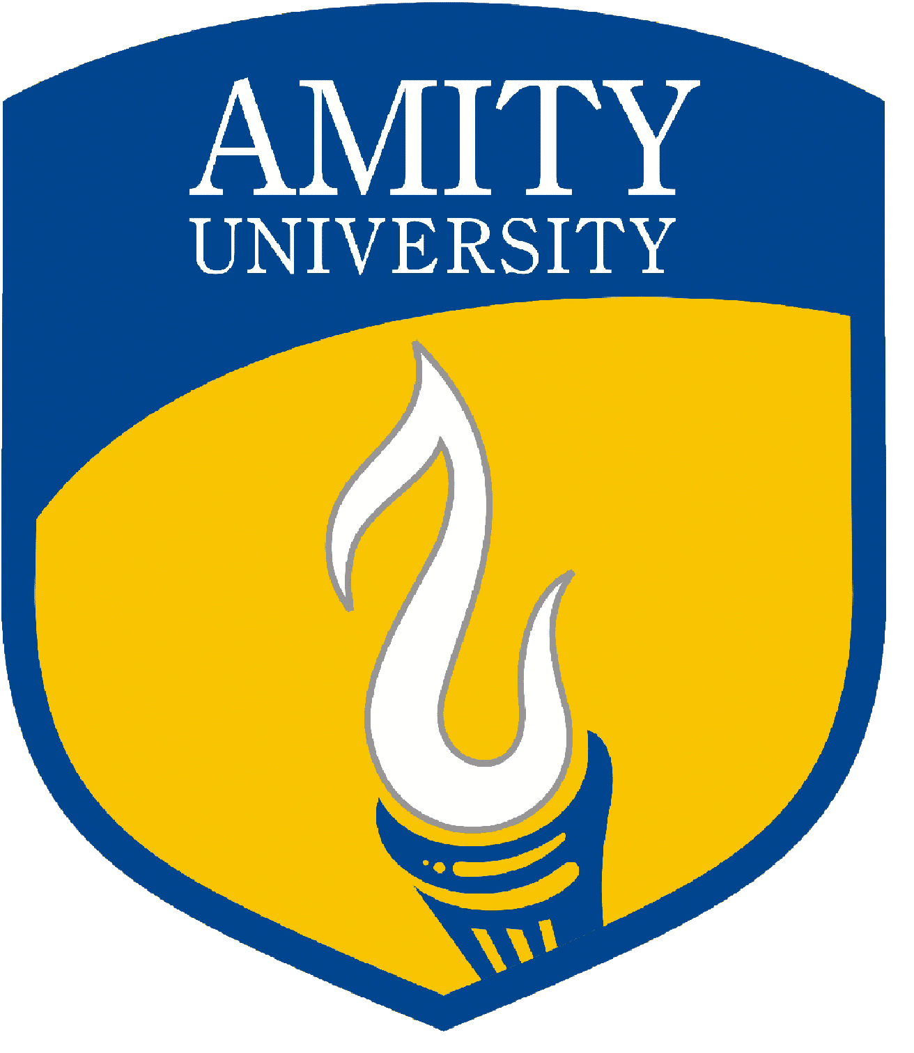 Amity University