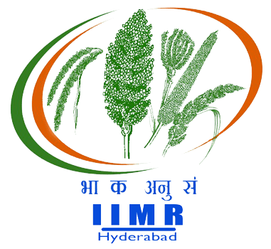 IIMR