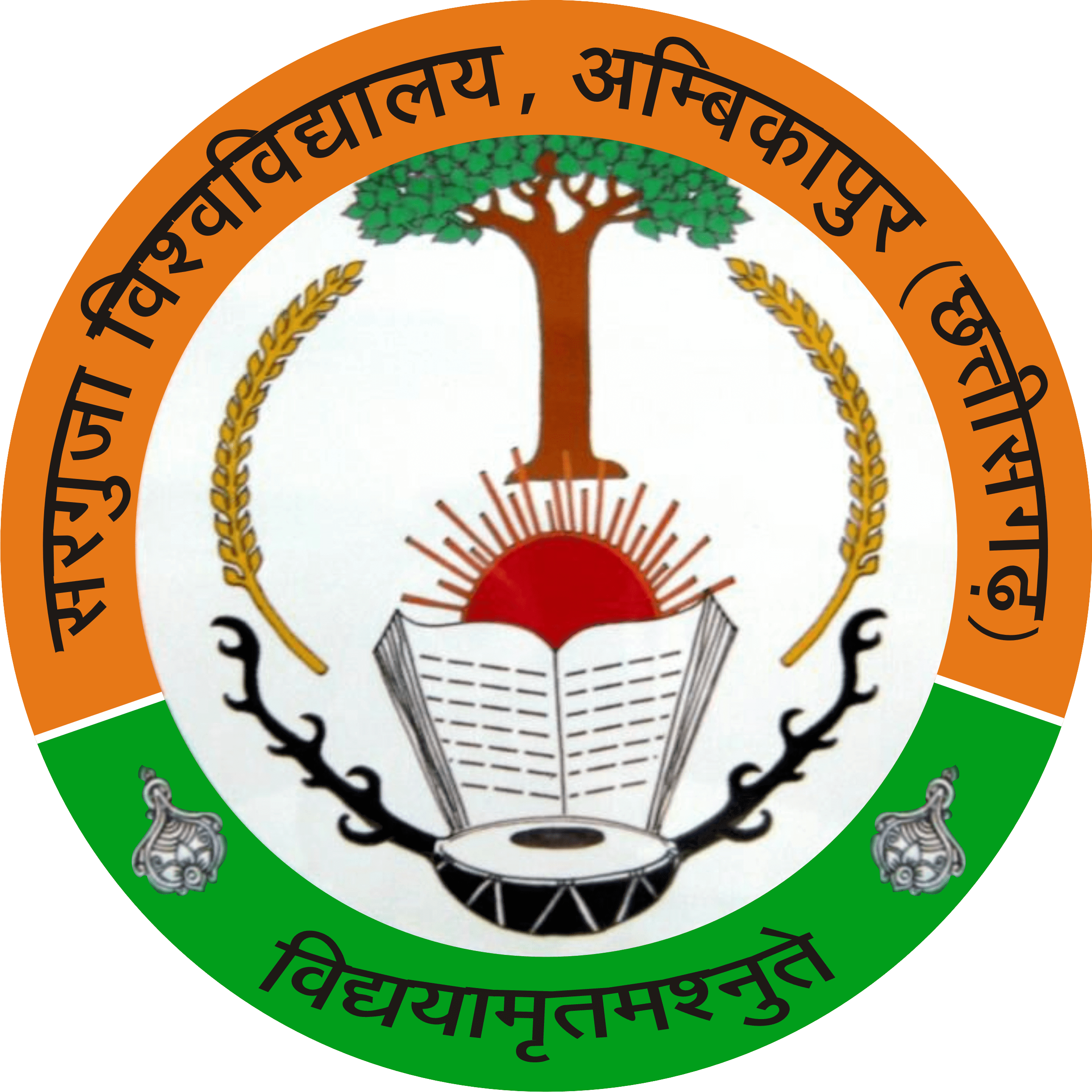 Sarguja University